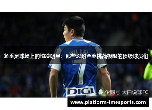 冬季足球场上的怕冷明星：那些忍耐严寒挑战极限的顶级球员们