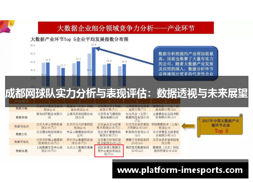 成都网球队实力分析与表现评估：数据透视与未来展望