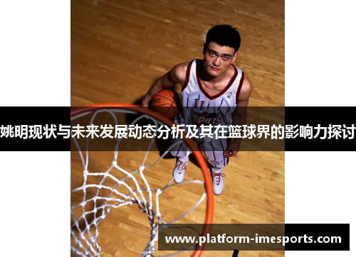 姚明现状与未来发展动态分析及其在篮球界的影响力探讨